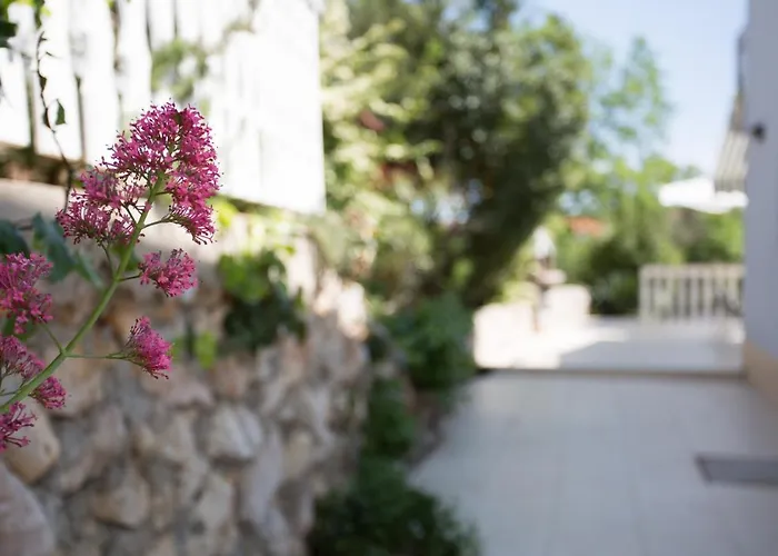 Apartmán Cekovic Šilo