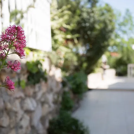 Appartamento Cekovic Šilo